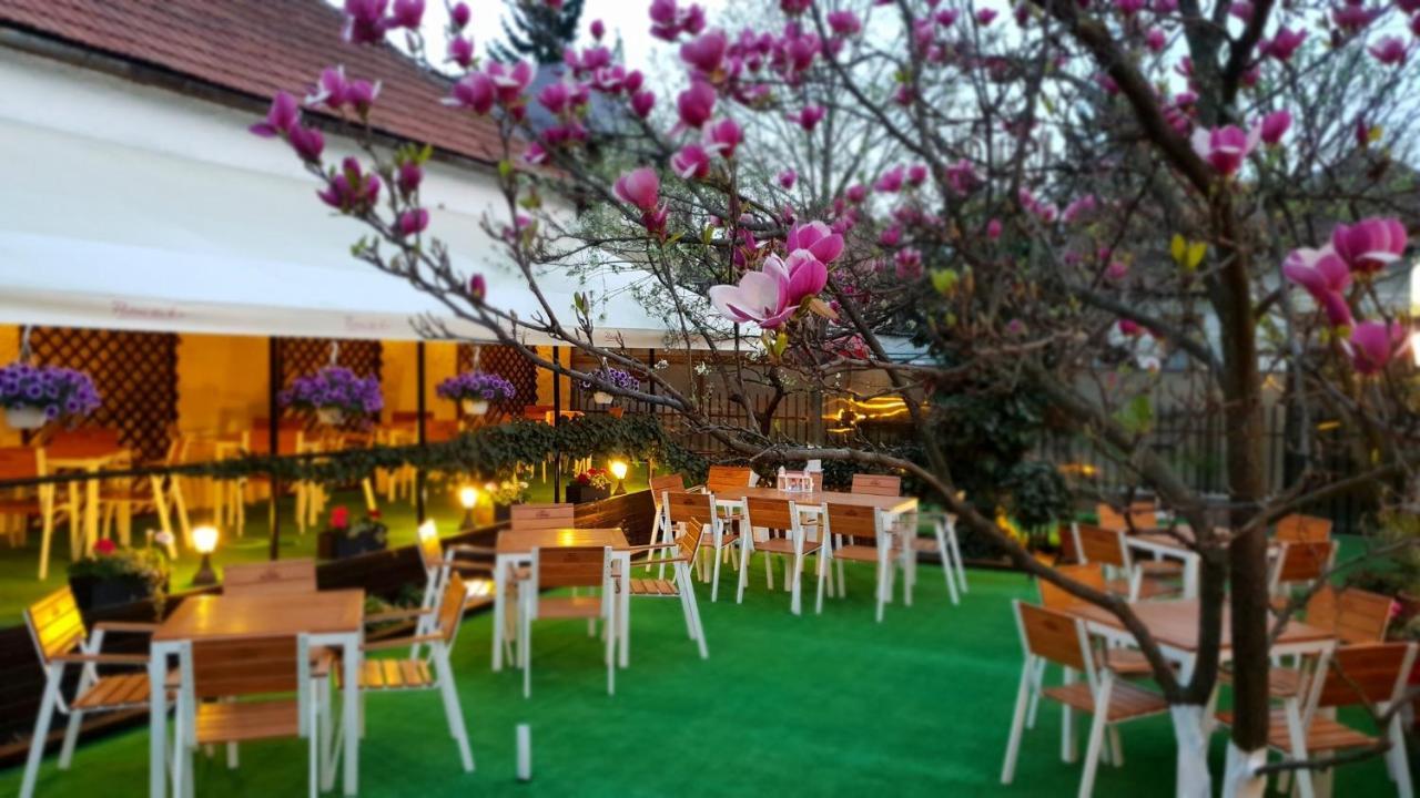 Casa Andreea Hotel Braşov Eksteriør billede